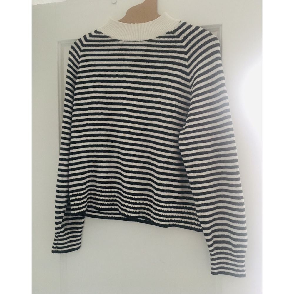 Everlane The Cotton Mockneck Crop Stripe